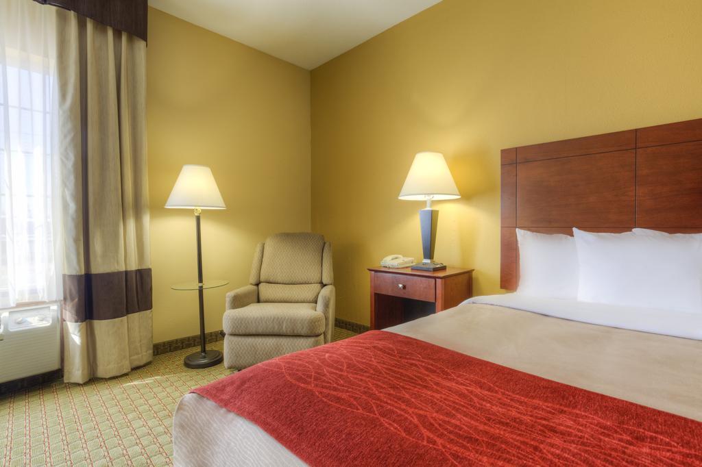 Comfort Inn Henderson Rum bild